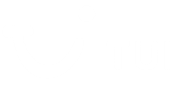 TUI