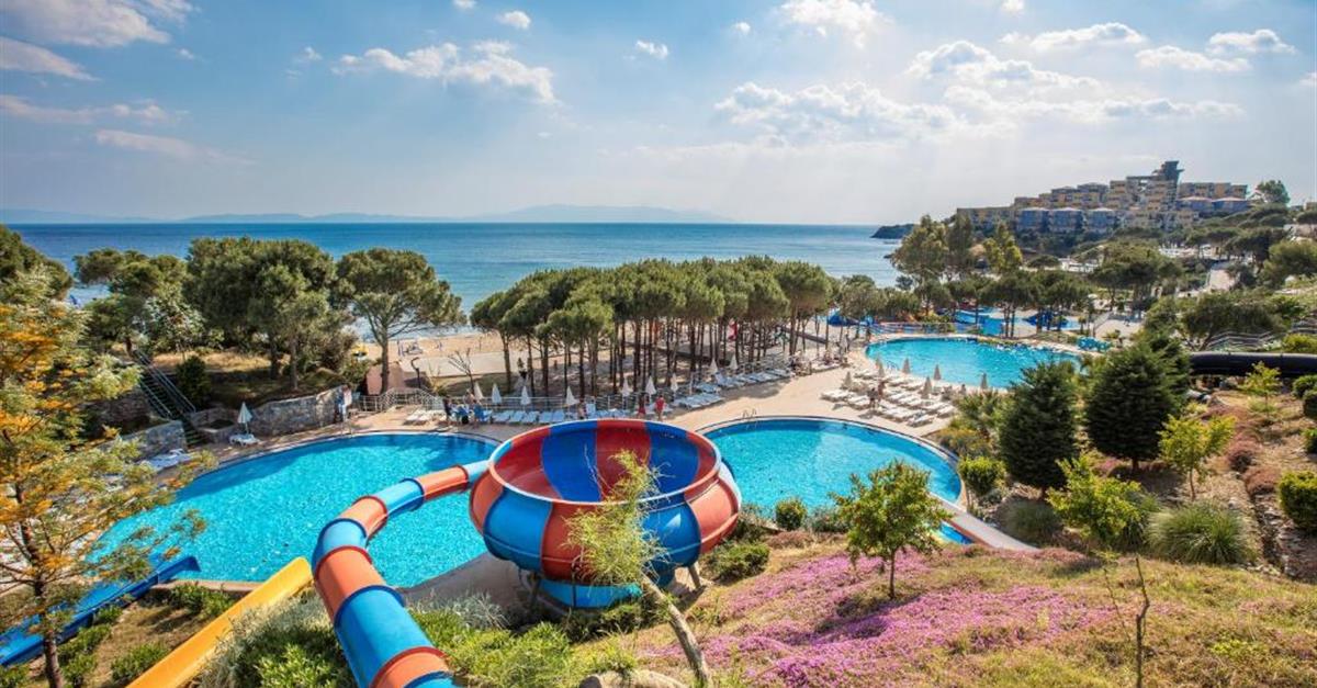 Загальний вигляд