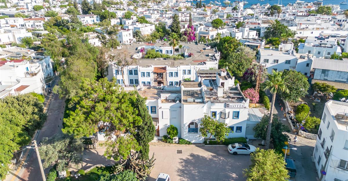 Загальний вигляд