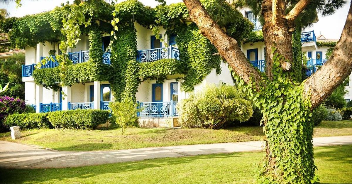 Загальний вигляд