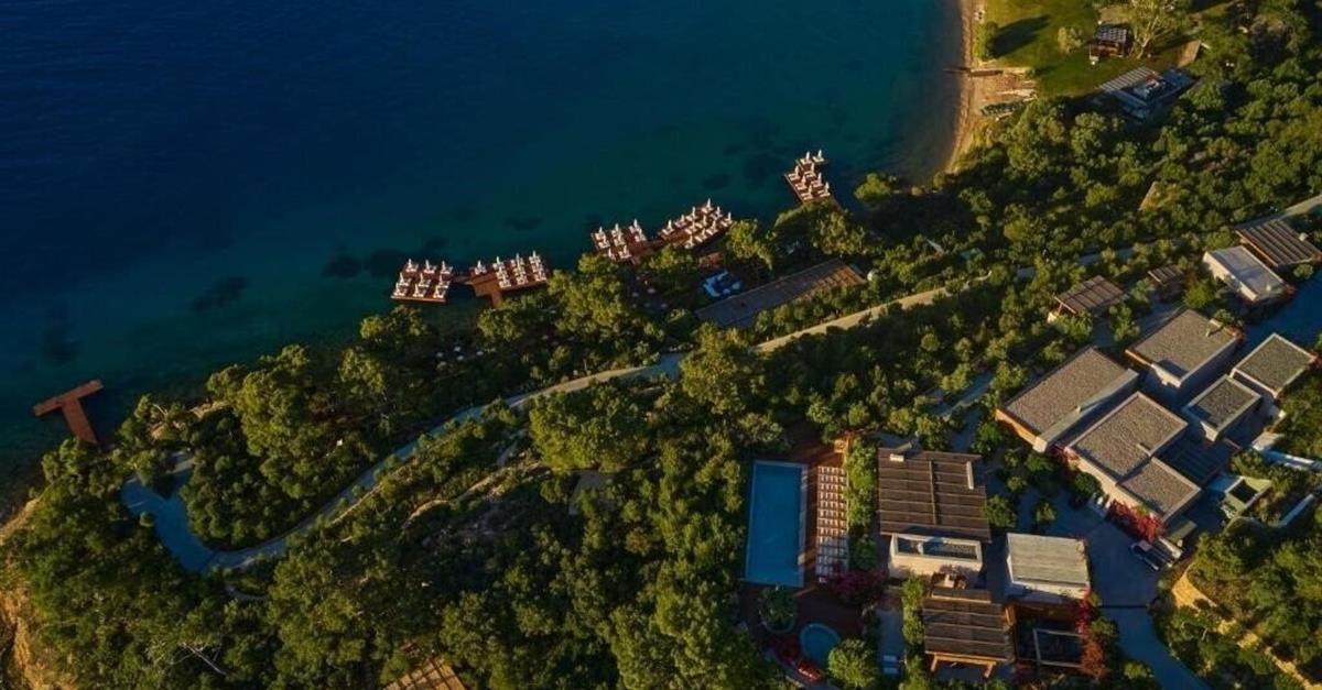 Загальний вигляд