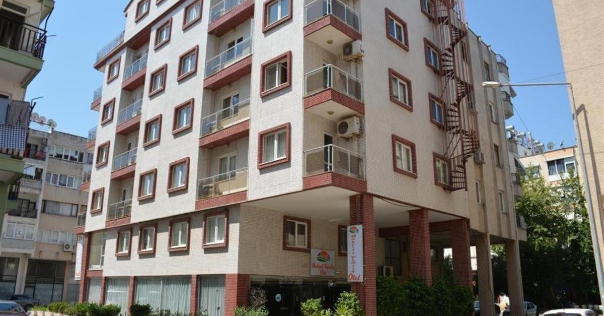 Загальний вигляд