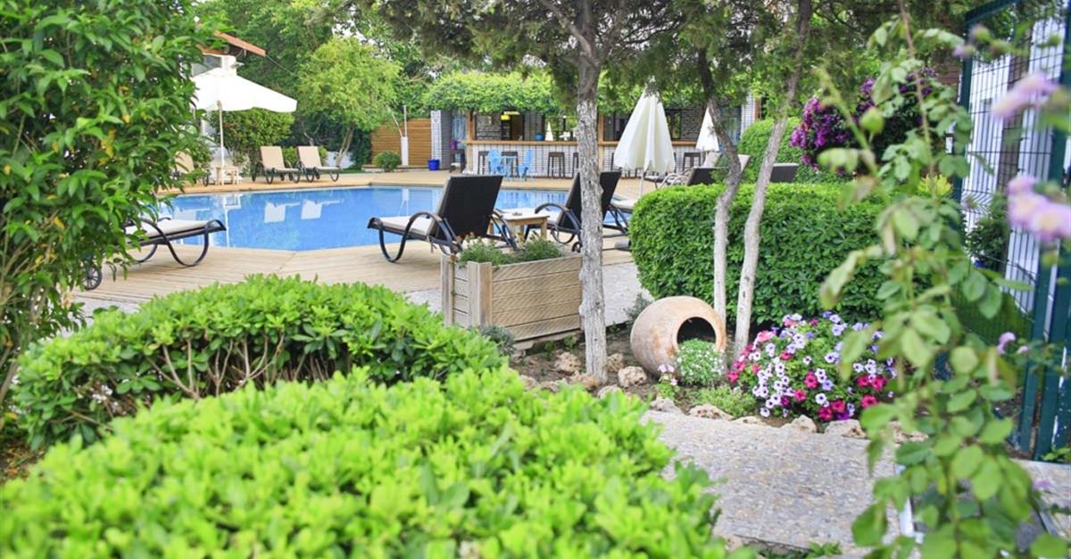 Загальний вигляд