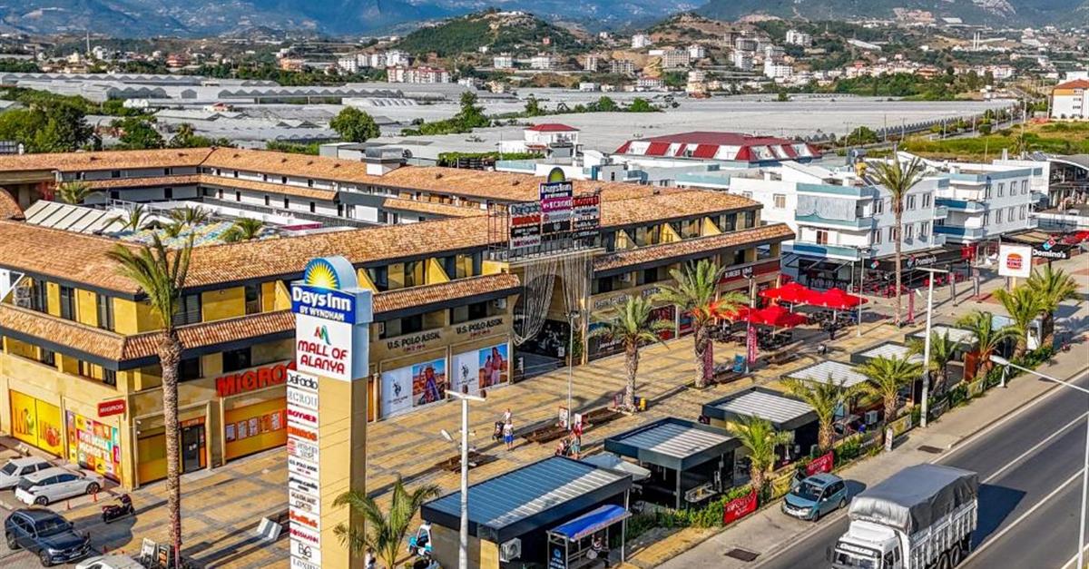 Загальний вигляд