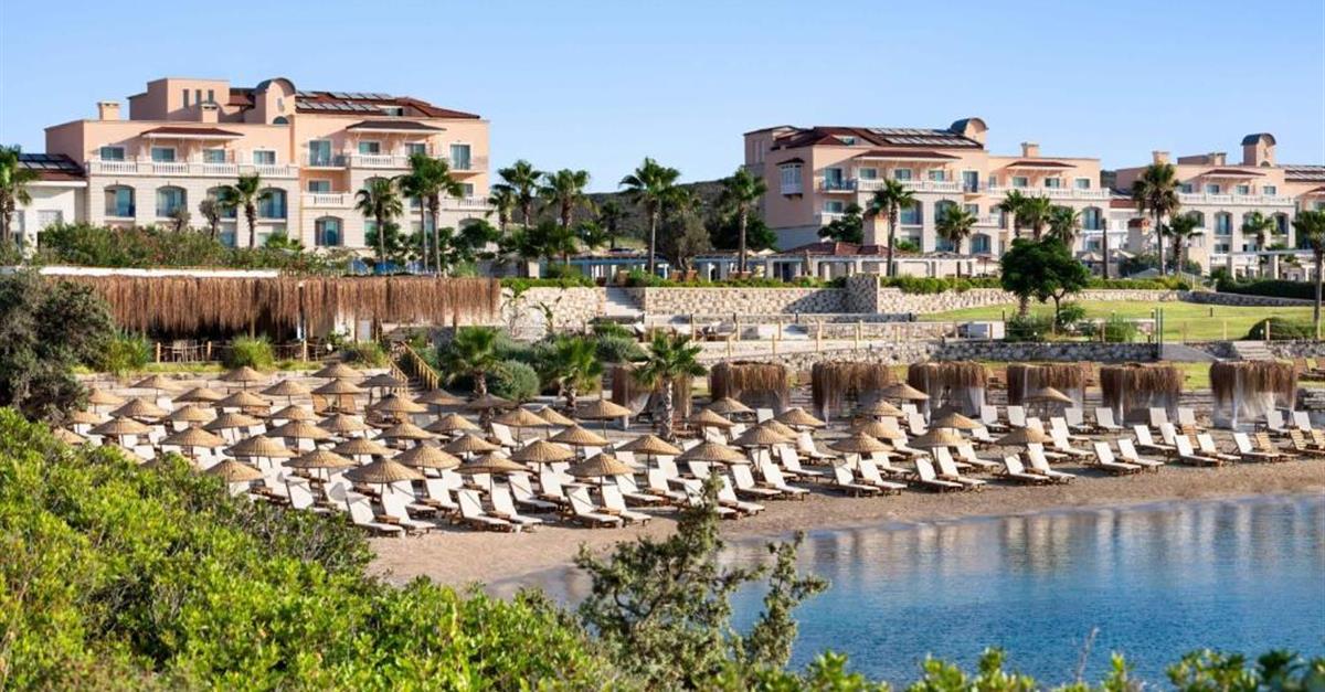 Загальний вигляд