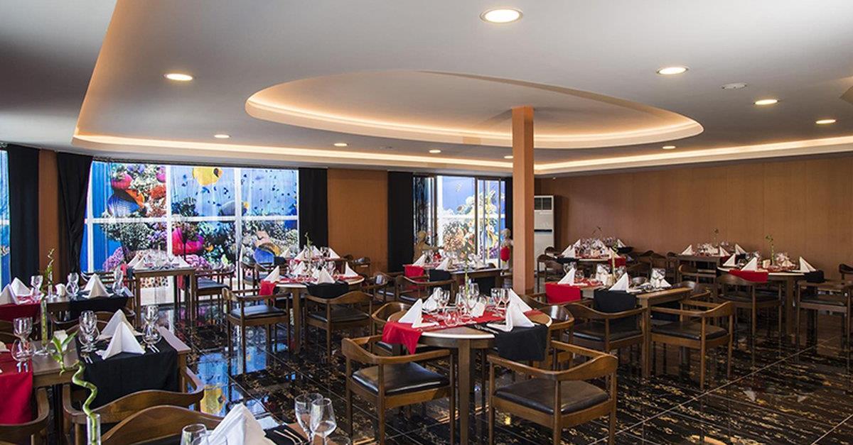 Загальний вигляд