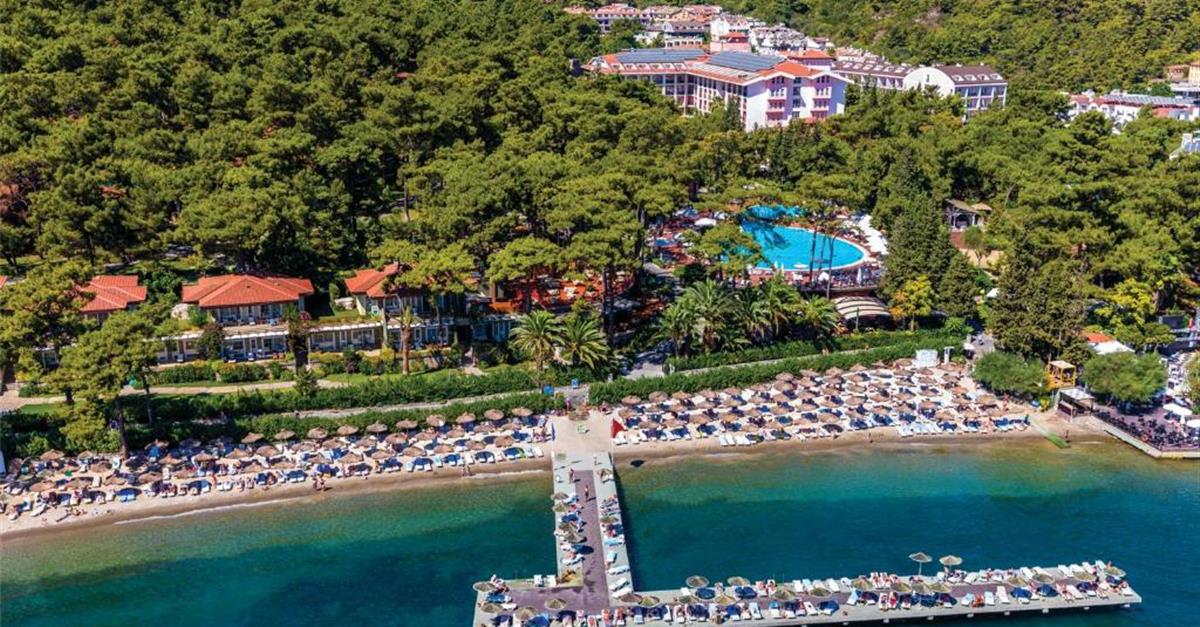 Загальний вигляд