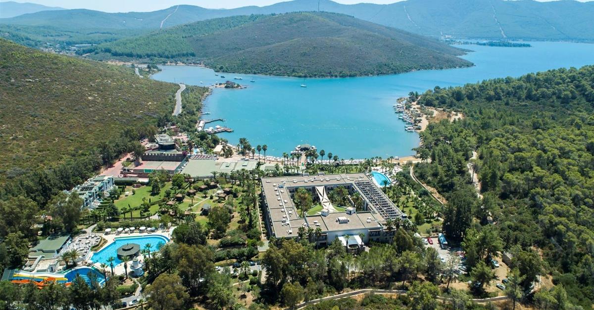 Загальний вигляд