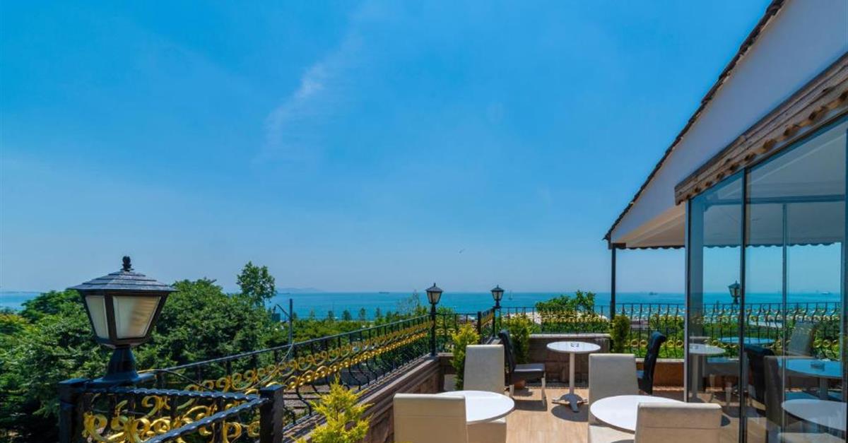 Загальний вигляд