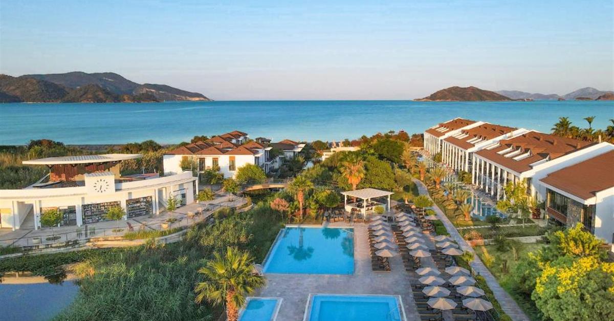 Загальний вигляд