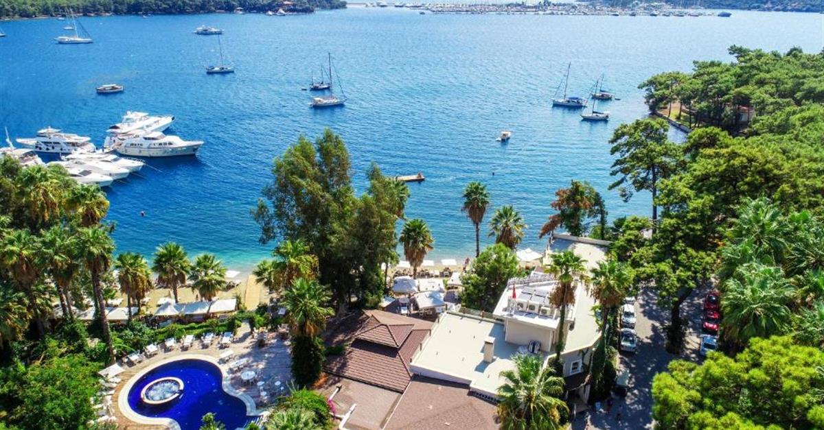 Загальний вигляд