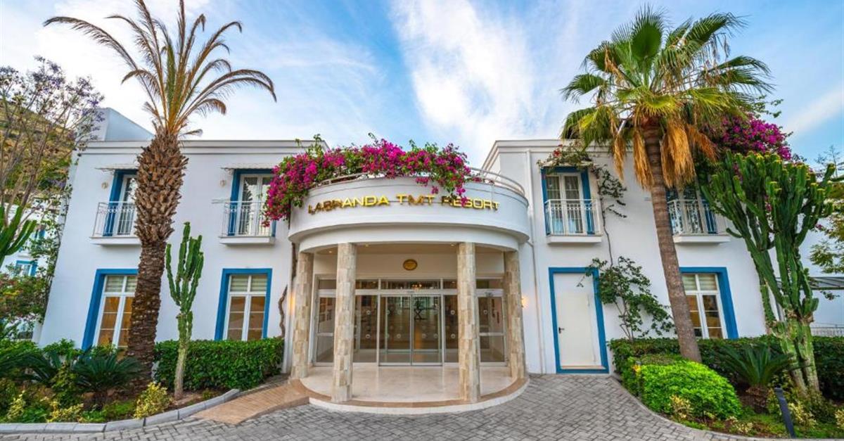 Загальний вигляд