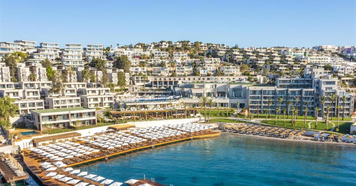 Загальний вигляд