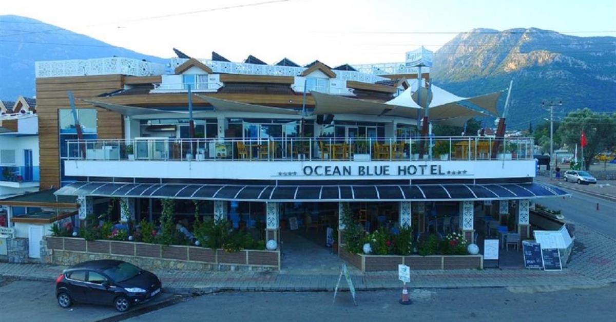 Загальний вигляд