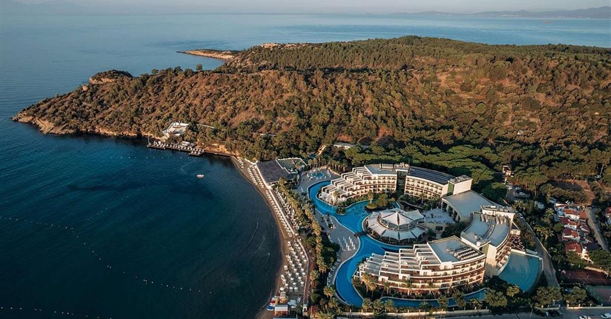 Загальний вигляд