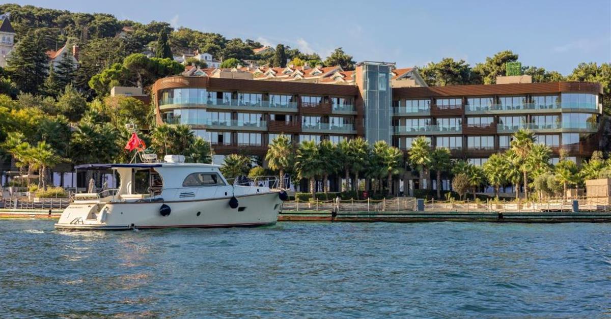 Загальний вигляд