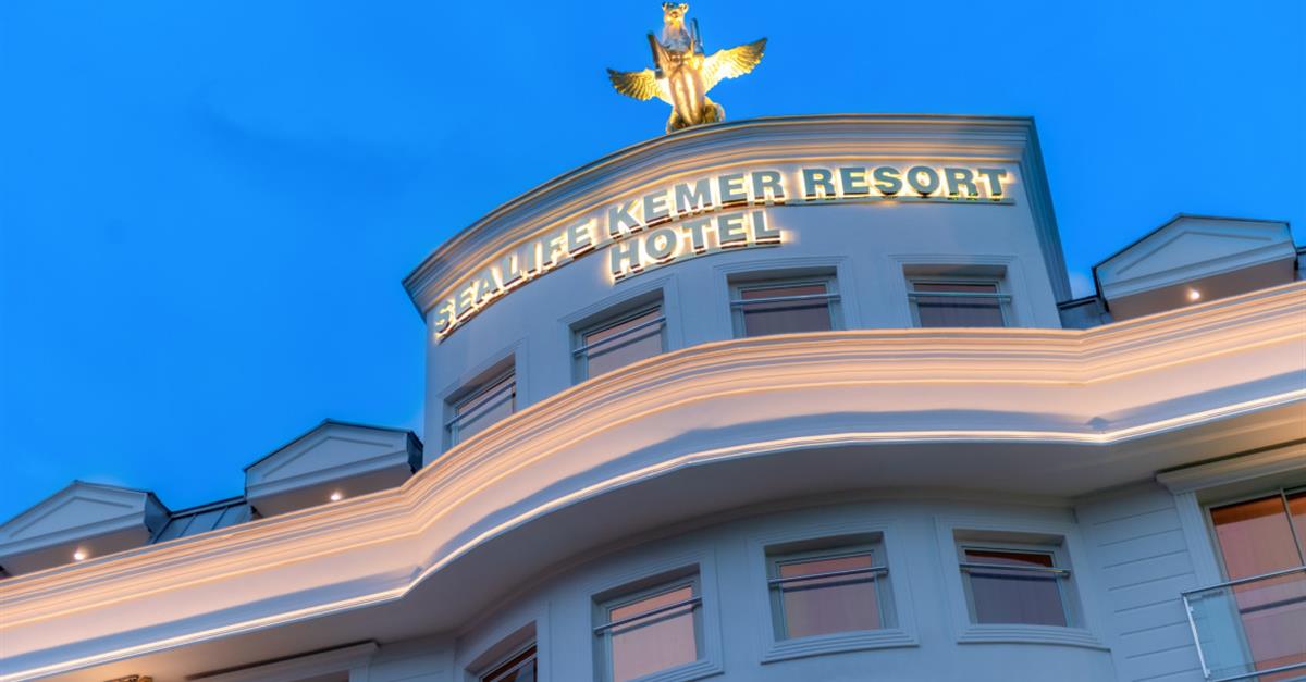 Загальний вигляд