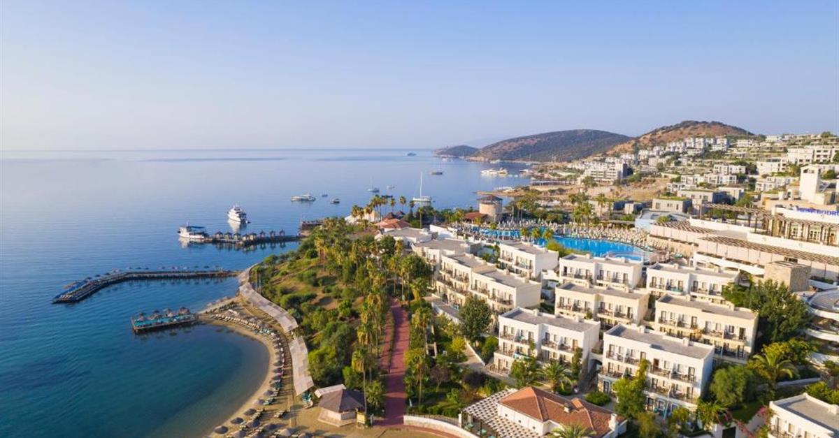 Загальний вигляд