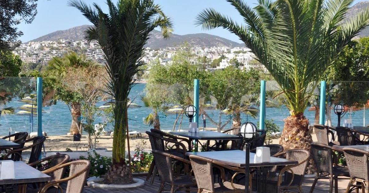 Загальний вигляд