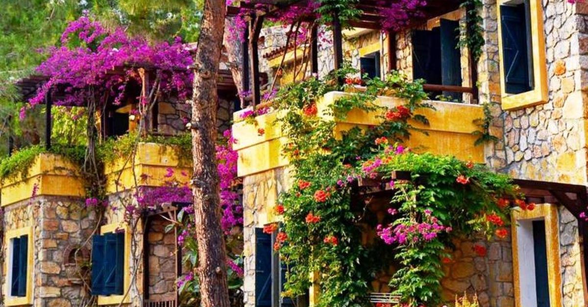 Загальний вигляд