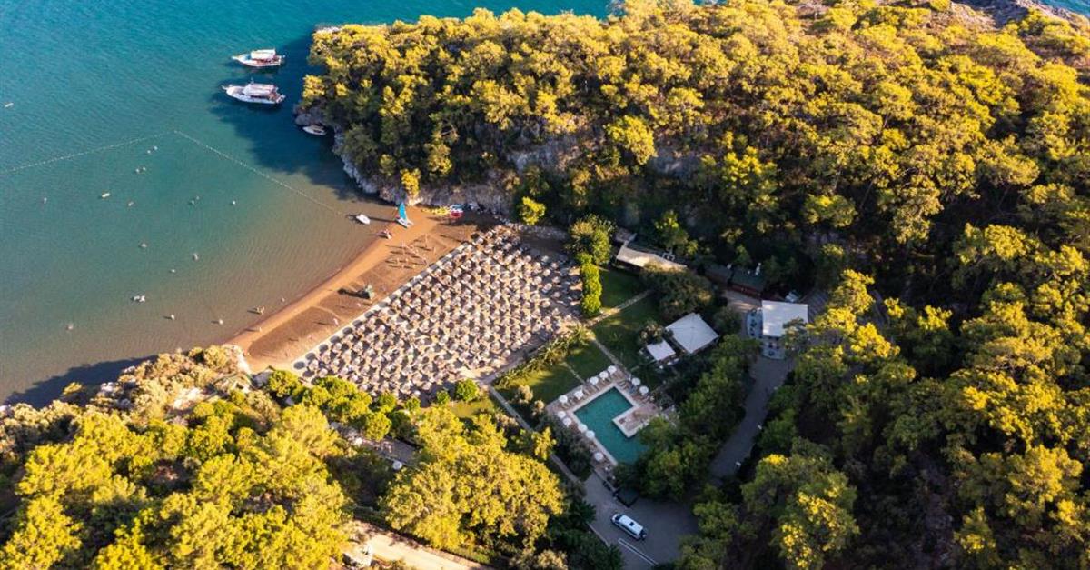 Загальний вигляд