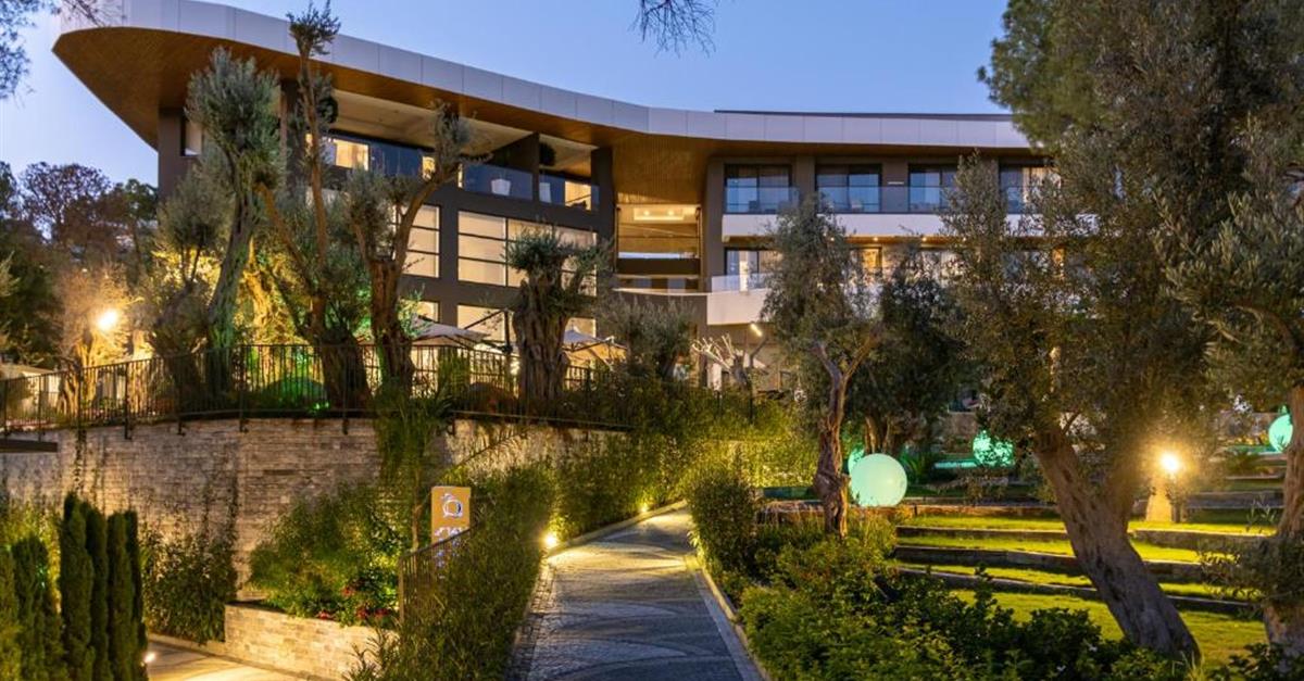 Загальний вигляд