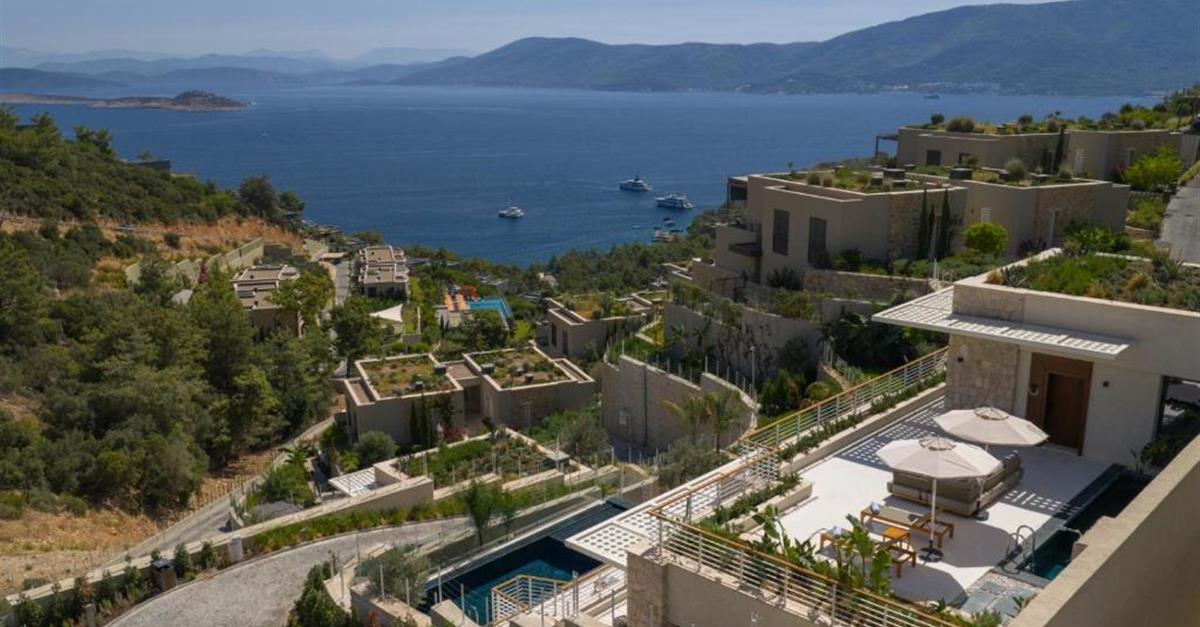 Загальний вигляд