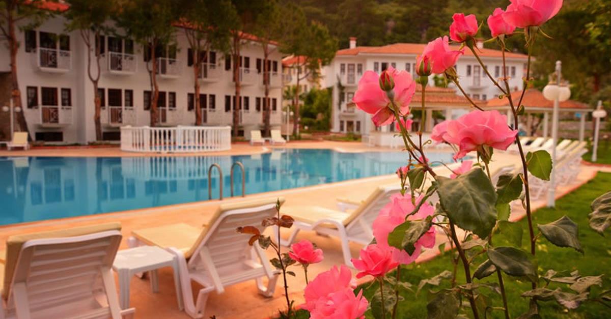 Загальний вигляд