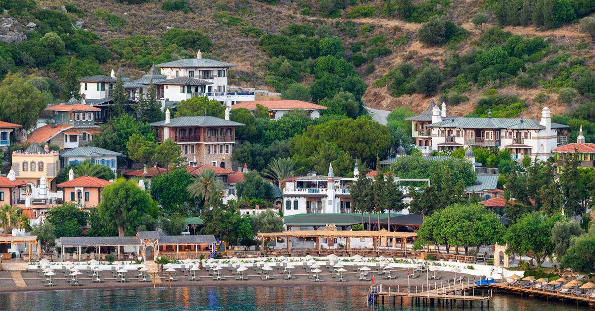 Загальний вигляд