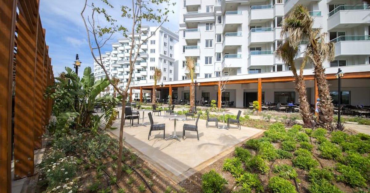 Загальний вигляд