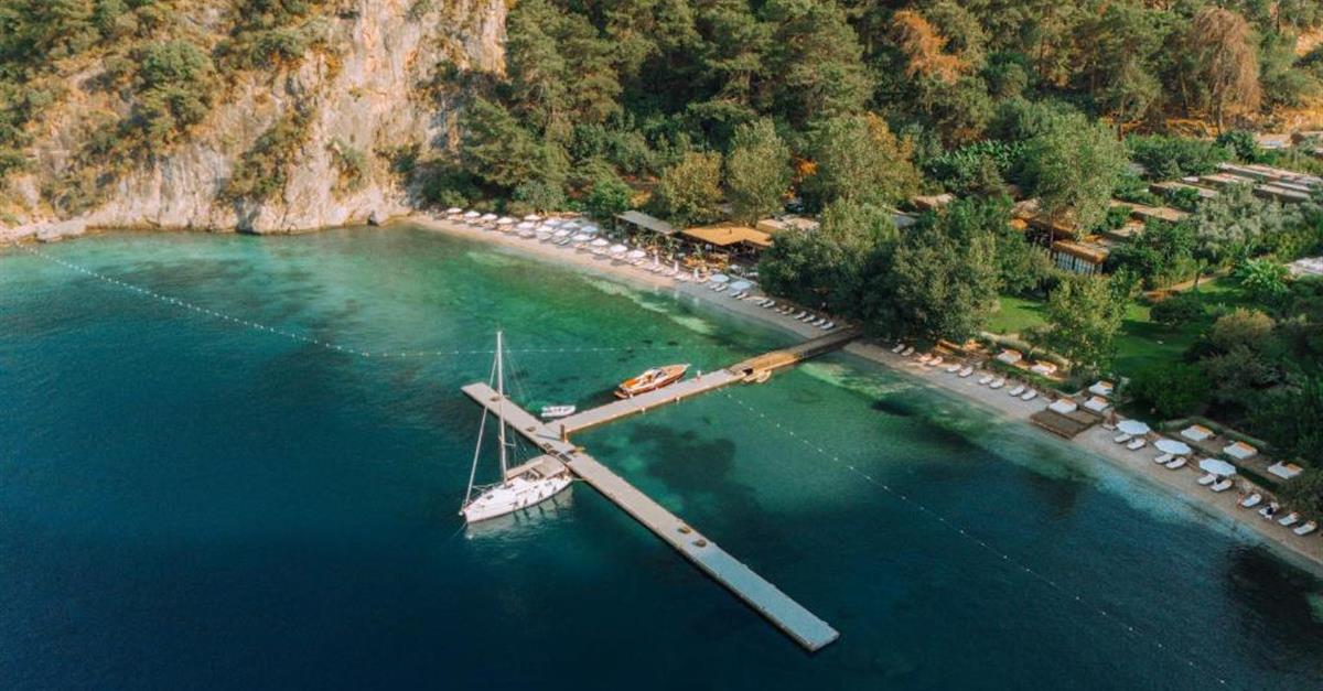 Загальний вигляд