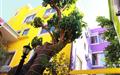The Zanadu Hotel