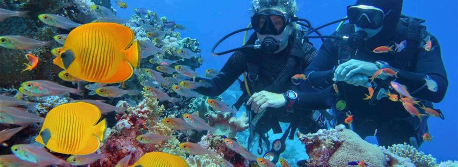 Ras Mohamed Snorkeling Sea trip