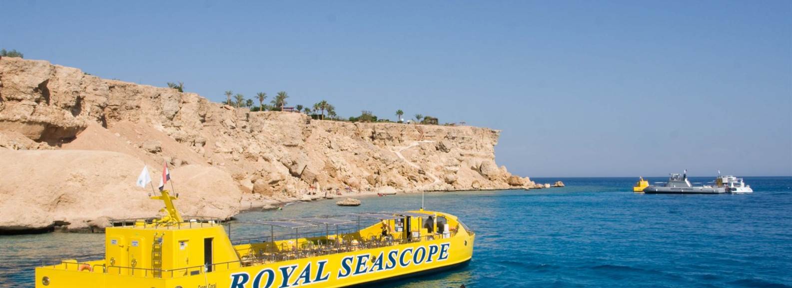 Royal sea scope trip