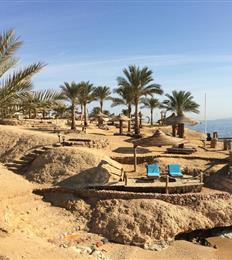 Monte Carlo Sharm Resort & Spa 5* Monte Carlo Sharm Resort & Spa 5*