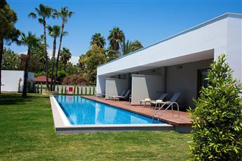 Acanthus Cennet Barut Collection
