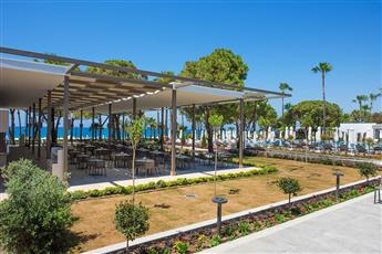 Acanthus Cennet Barut Collection