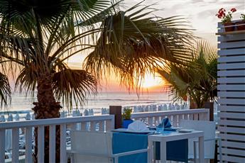 Acanthus Cennet Barut Collection