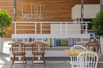Acanthus Cennet Barut Collection