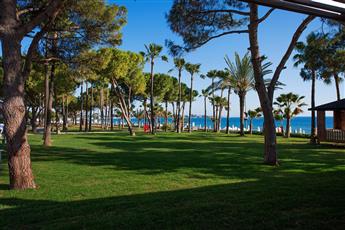 Acanthus Cennet Barut Collection