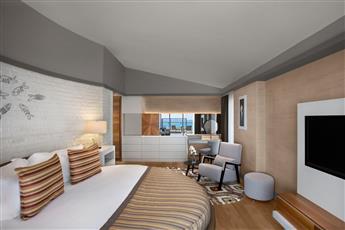 Acanthus Cennet Barut Collection