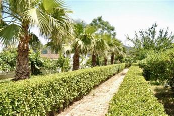 Adalin Resort Hotel 4*