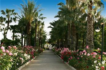 Adora Hotel & Resort 5*