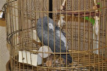 Akgun Hotel Beyazit 3*