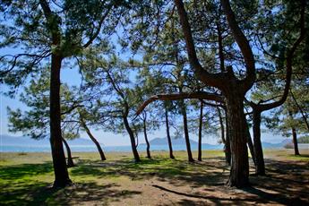 Akra Fethiye Tui Blue Sensatori 5*