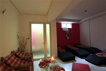 Alenz Suite