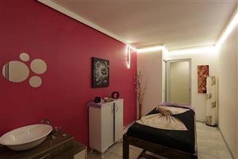Alenz Suite