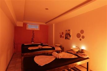 Alenz Suite