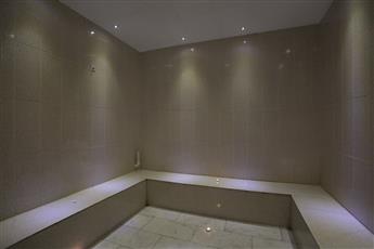 Alenz Suite