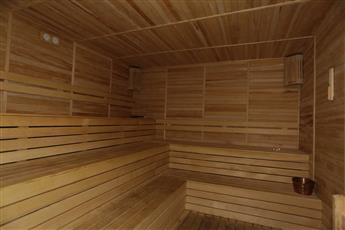 Alenz Suite